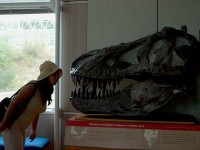 leenie kissing trex 